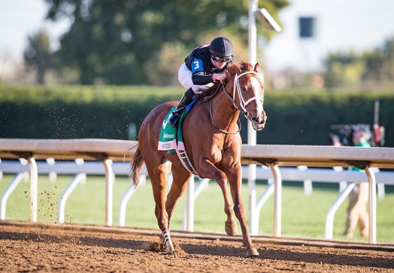 Im A Chatterbox (Munnings)