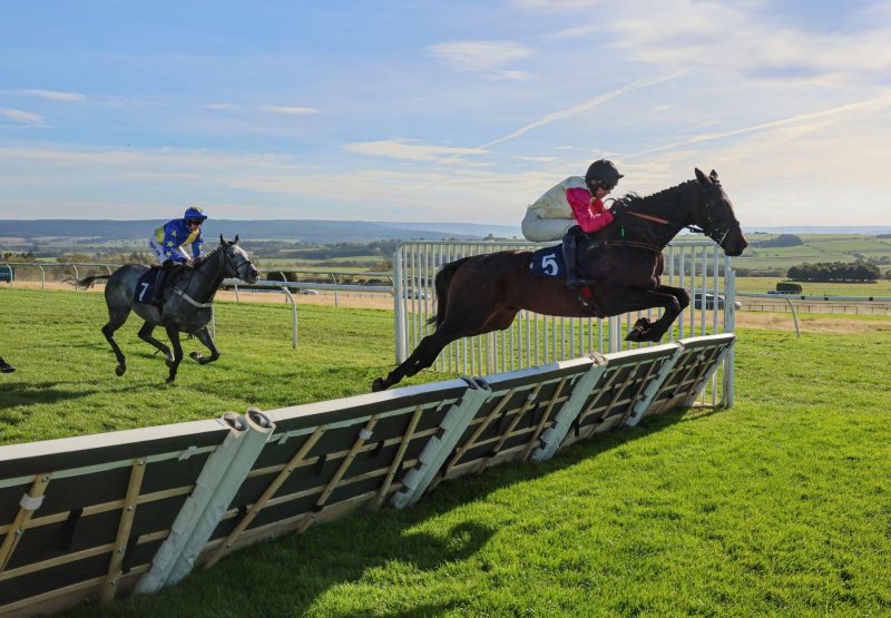 Imperfectlyperfect Walk In The Park Hexham
