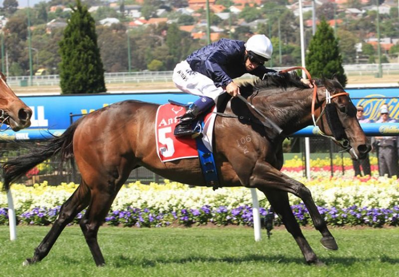 Lake Geneva (Fastnet Rock) winning the Crockett Stakes