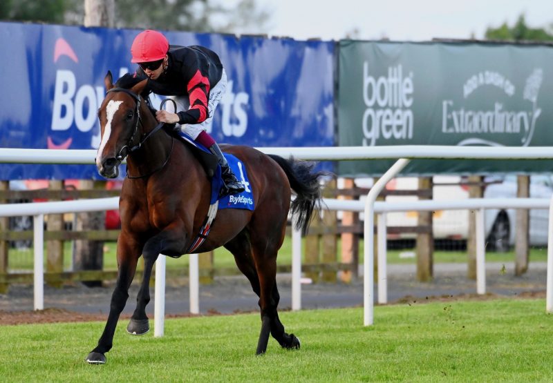 Leinster (Camelot) Wins His Maiden At Down Royal