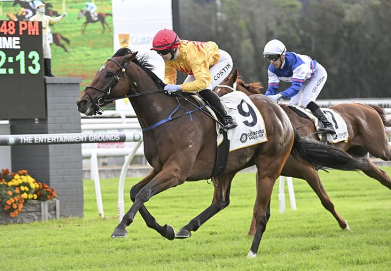 Les Vampires (Pierro) Gosford Cup 750