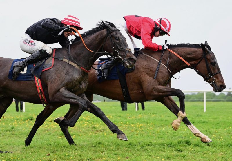 Long Branch (Idaho) Wins At Tralee