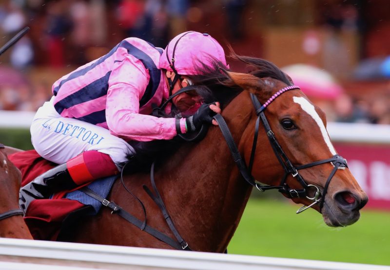 Loving Dream (Gleneagles) Wins The Group 1 Prix De Royallieu At Longchamp
