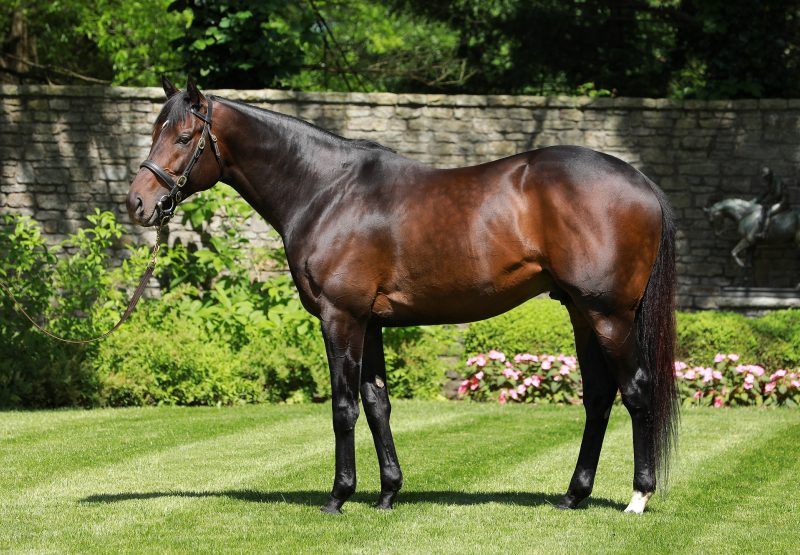 Mo Town Conformation