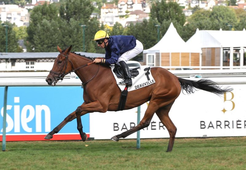 Mqse Des Nymphes (Saxon Warrior) Deauville