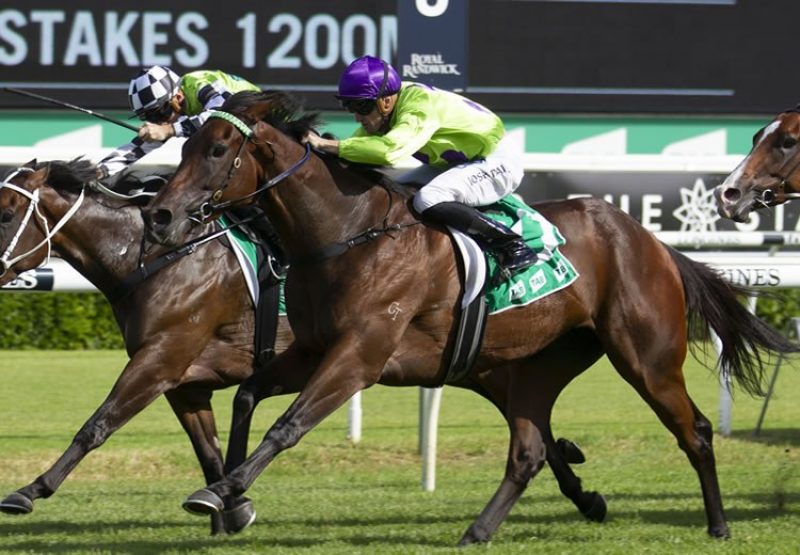 Nakeeta Jane (So You Think) winning the Gr.2 Light Fingers Stakes at Randwick