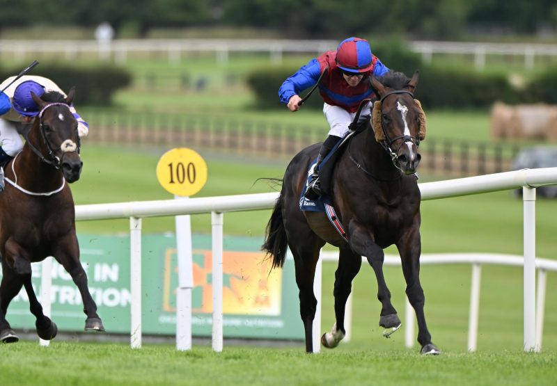 Neolithic (sioux nation) Wins At Naas