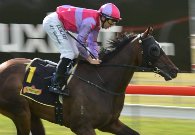 Northwest Passage (So You Think) winning the Listed MVRC Torney Night Cup at Moonee Valley