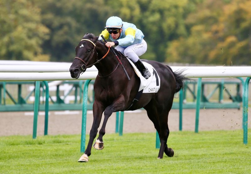 Padishakh (Wootton Bassett) Wins At Chantilly