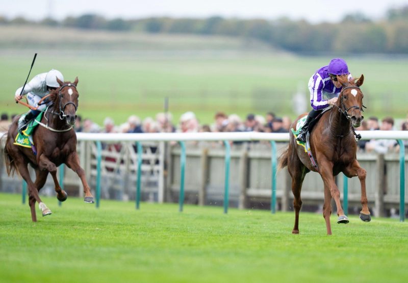 Precise Starspangledbanner Newmarket