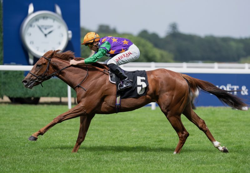 Princess Petrol (st mark's basilica) Wins At Ascot