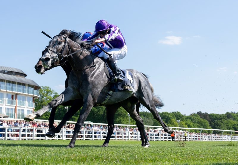 Puppet Master (Camelot) Wins The Lingfield Derby Trial