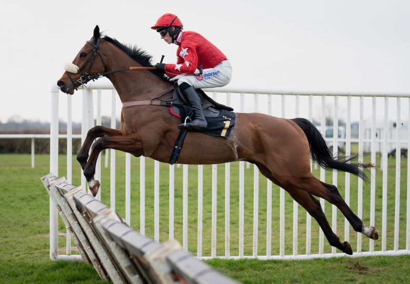 Regent’S Stroll (Walk In The Park) Wins At Wincanton