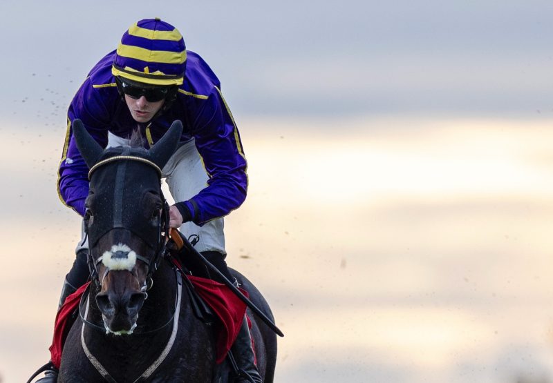 Reiki Revolution (Wings of Eagles) Wins The Bumper At Galway