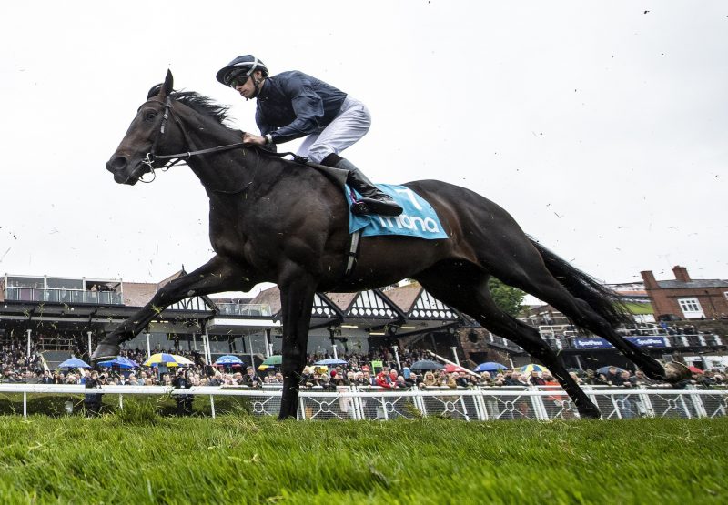 Sir Dragonet (Camelot) Becomes A Leading Derby Fancy For Camelot