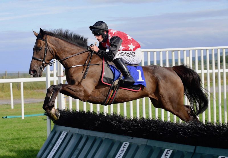 Sneaky Getaway (Getaway) Wins The Maiden Hurdle At Roscommon