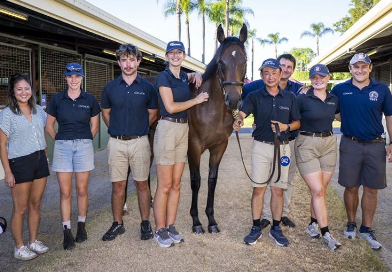 Snitzel X Vanglic Sale 750