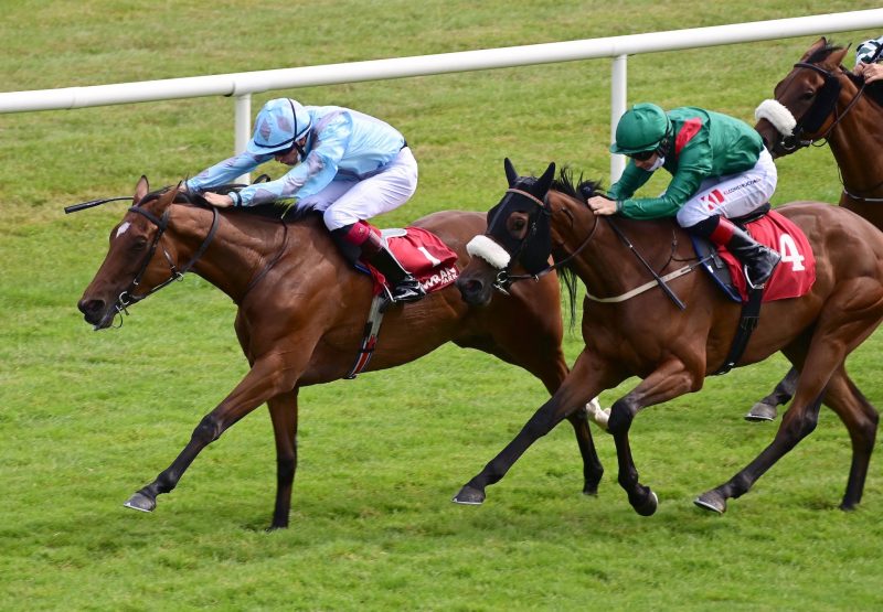 So I Told You (Gleneagles) Wins The Irish Ebf Fillies Race At Gowran Park