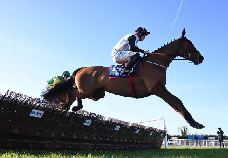 Spinningayarn Order Of St George Fairyhouse