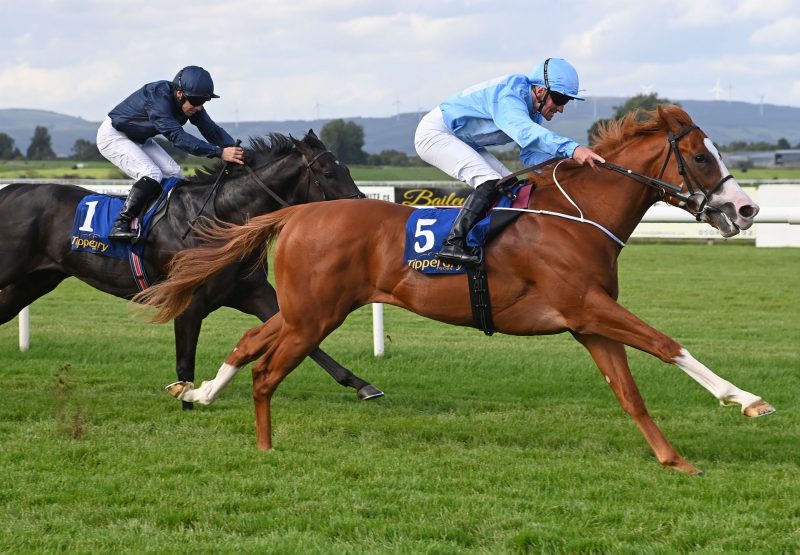 Thesecretadversary (st mark's basilica) Tipperary 26