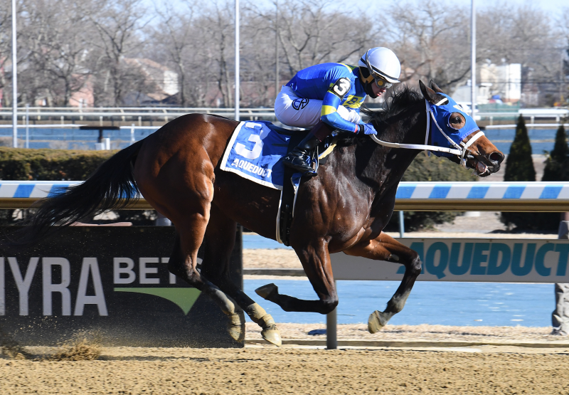 Volleyballprincess (Mo Town) Wins Ruthless Stakes