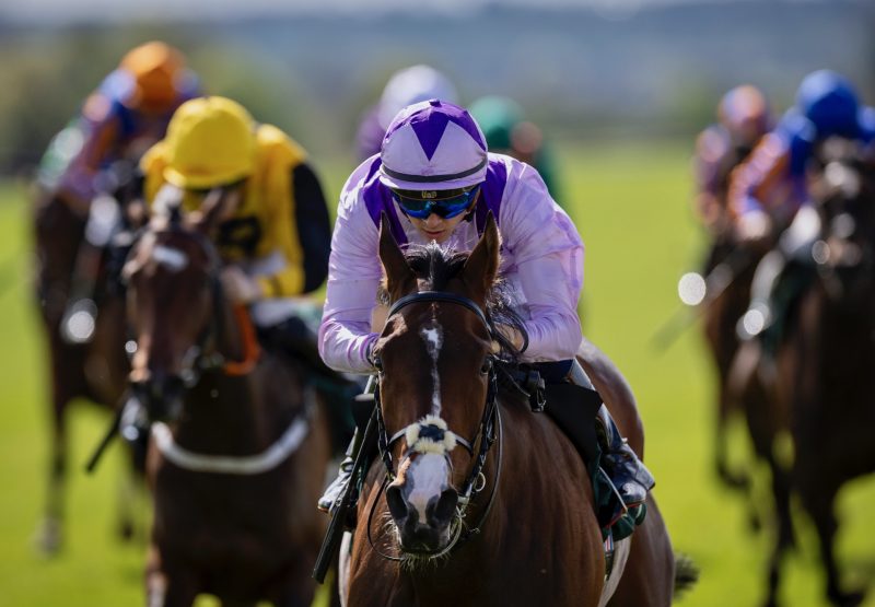 Wemightakedlongway (Austra;lia) Wins The Salsabil Stakes