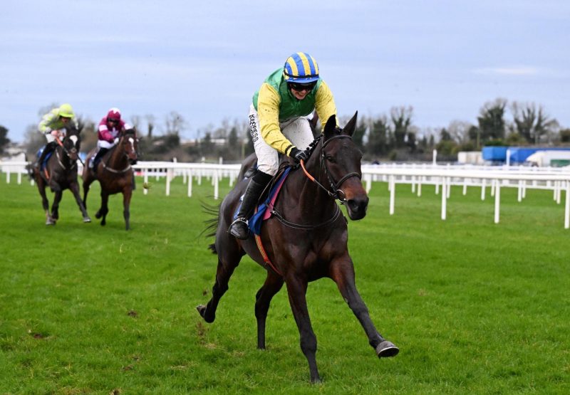 Young Rebel Crystal Ocean Fairyhouse