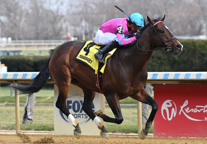 Just Beat The Odds The Elite Power2