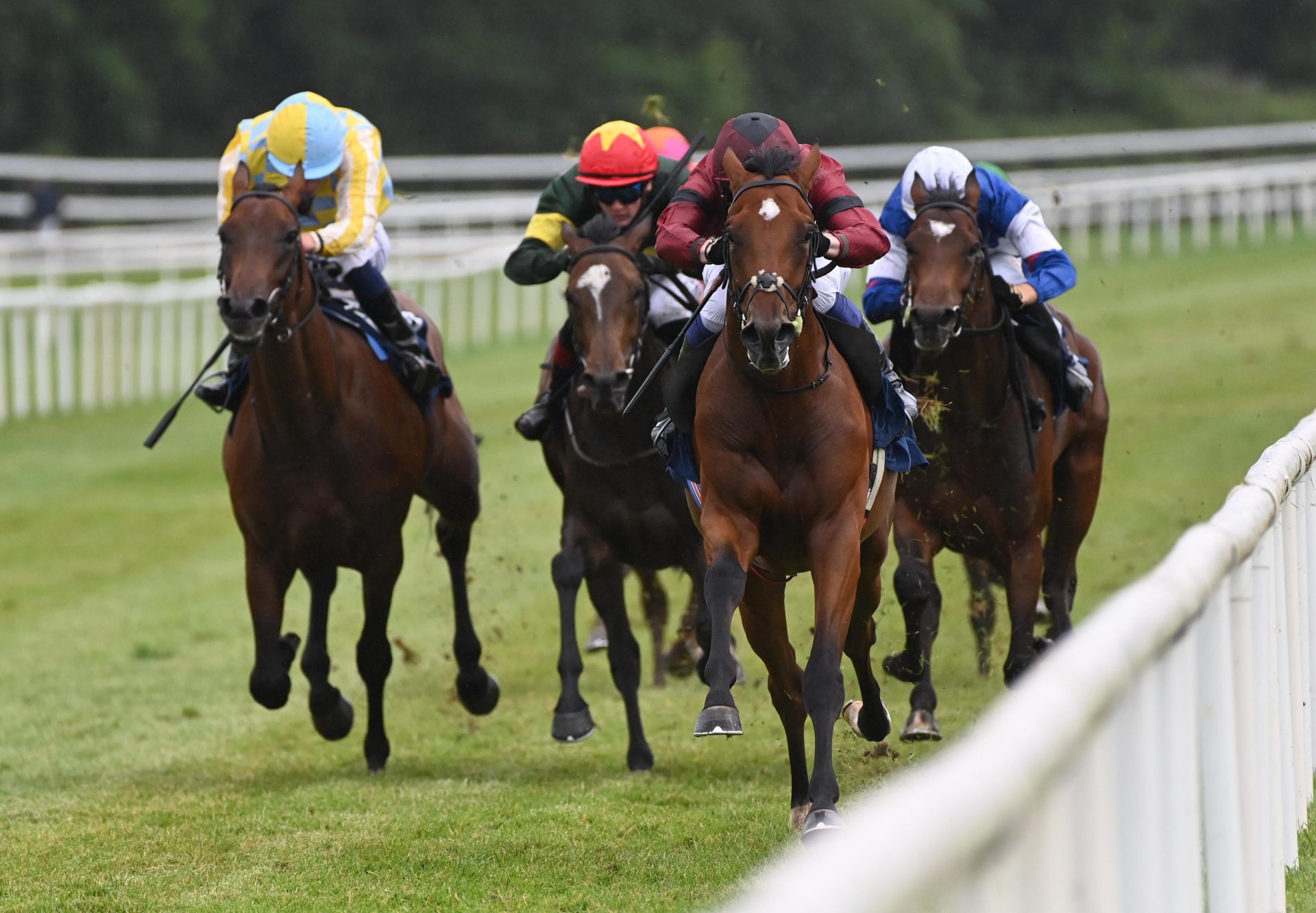 A Boy Named Susie (starspangledbanner) Killarney F31