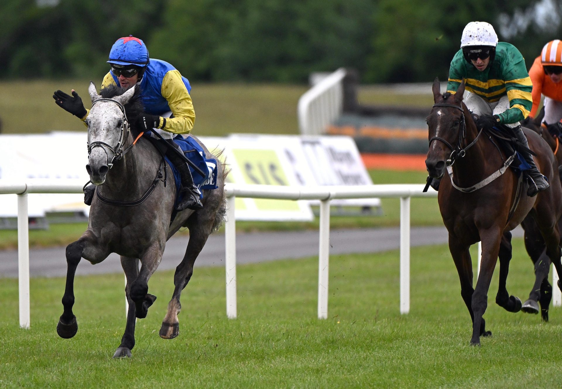 A Snow White Park (Walk In The Park) Wins At Ballinrobe