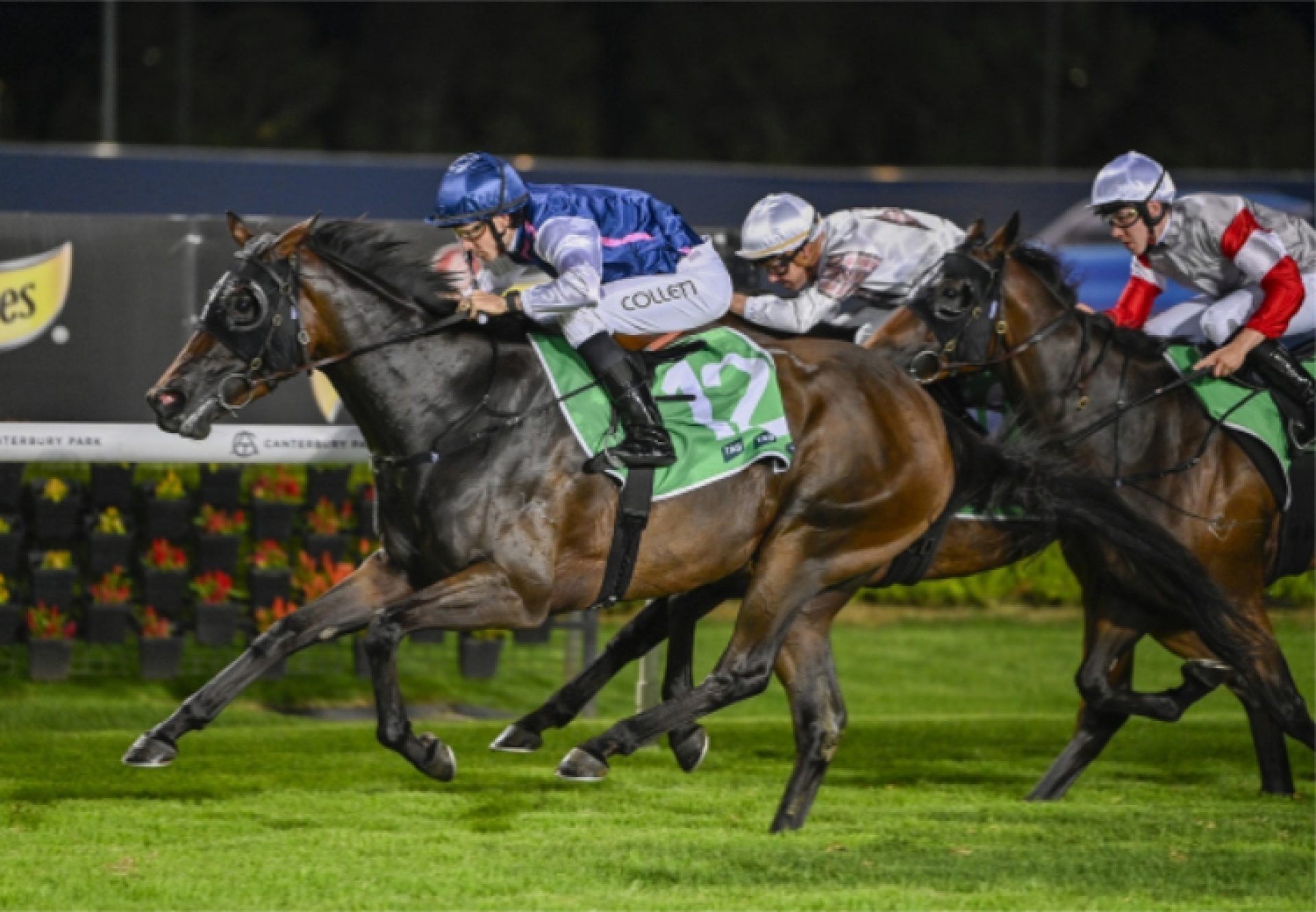 Atelier (So You Think) Canterbury 750