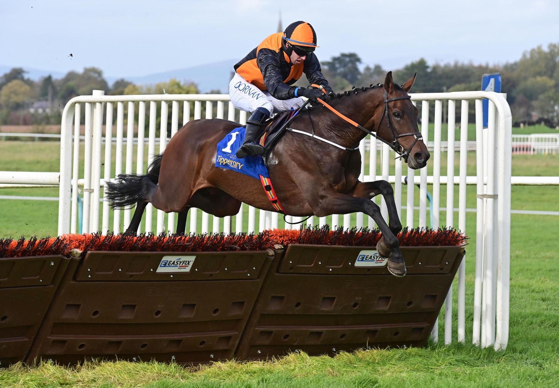 Ace Brannigan Order Of St George Tipperary