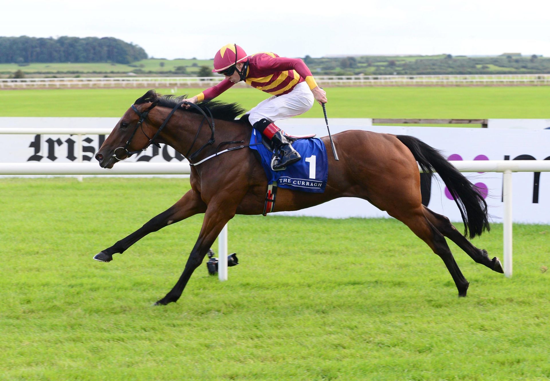 Agartha (Caravaggio) Wins Gr.2 Debutante Stakes at the Curragh