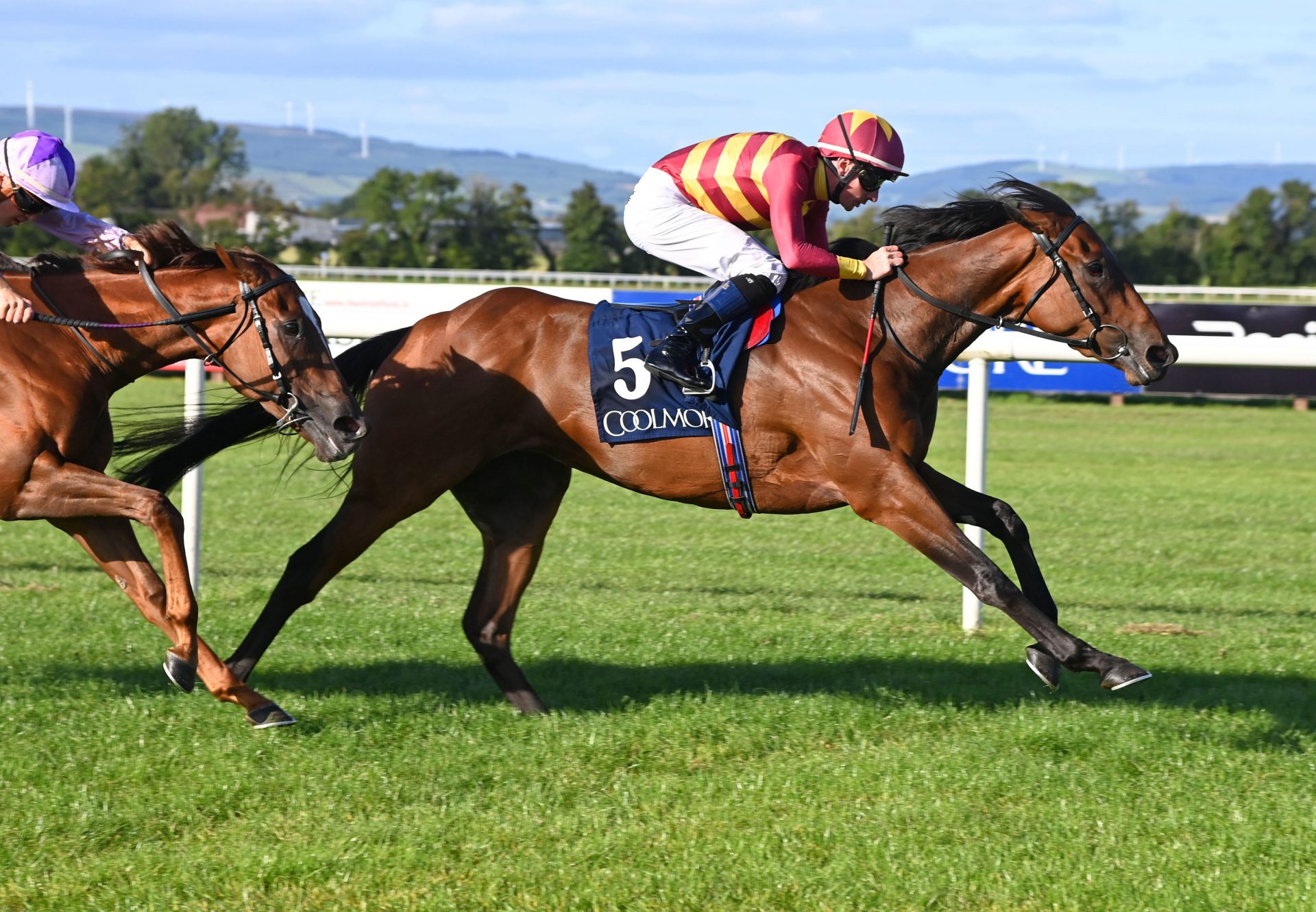 Agartha (Caravaggio) Wins Gr.3 Fairy Bridge Stakes at Tipperary