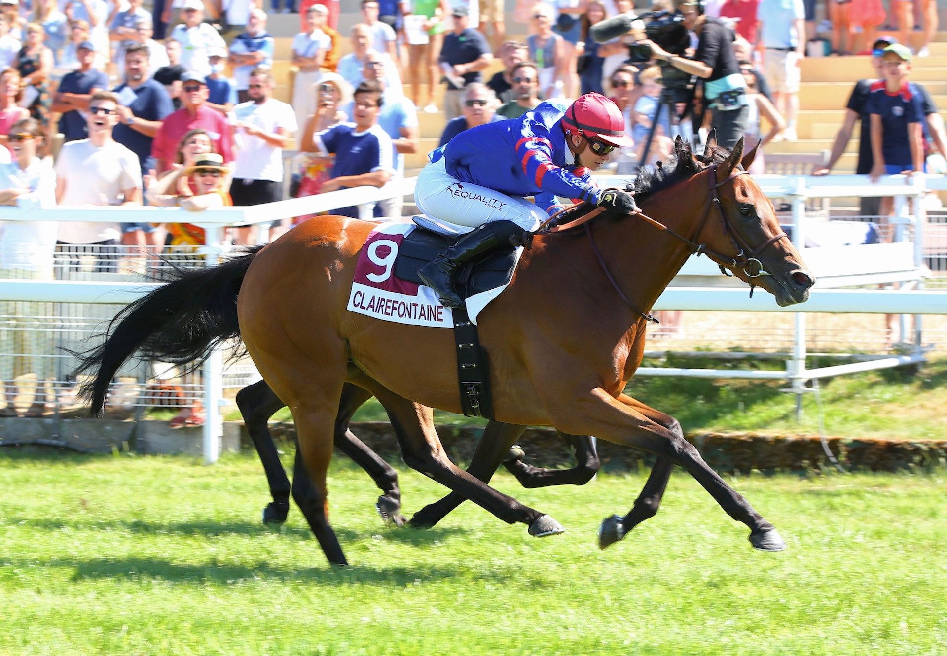 Agile (Rock Of Gibraltar) Wins Her Maiden At Clairefontaine
