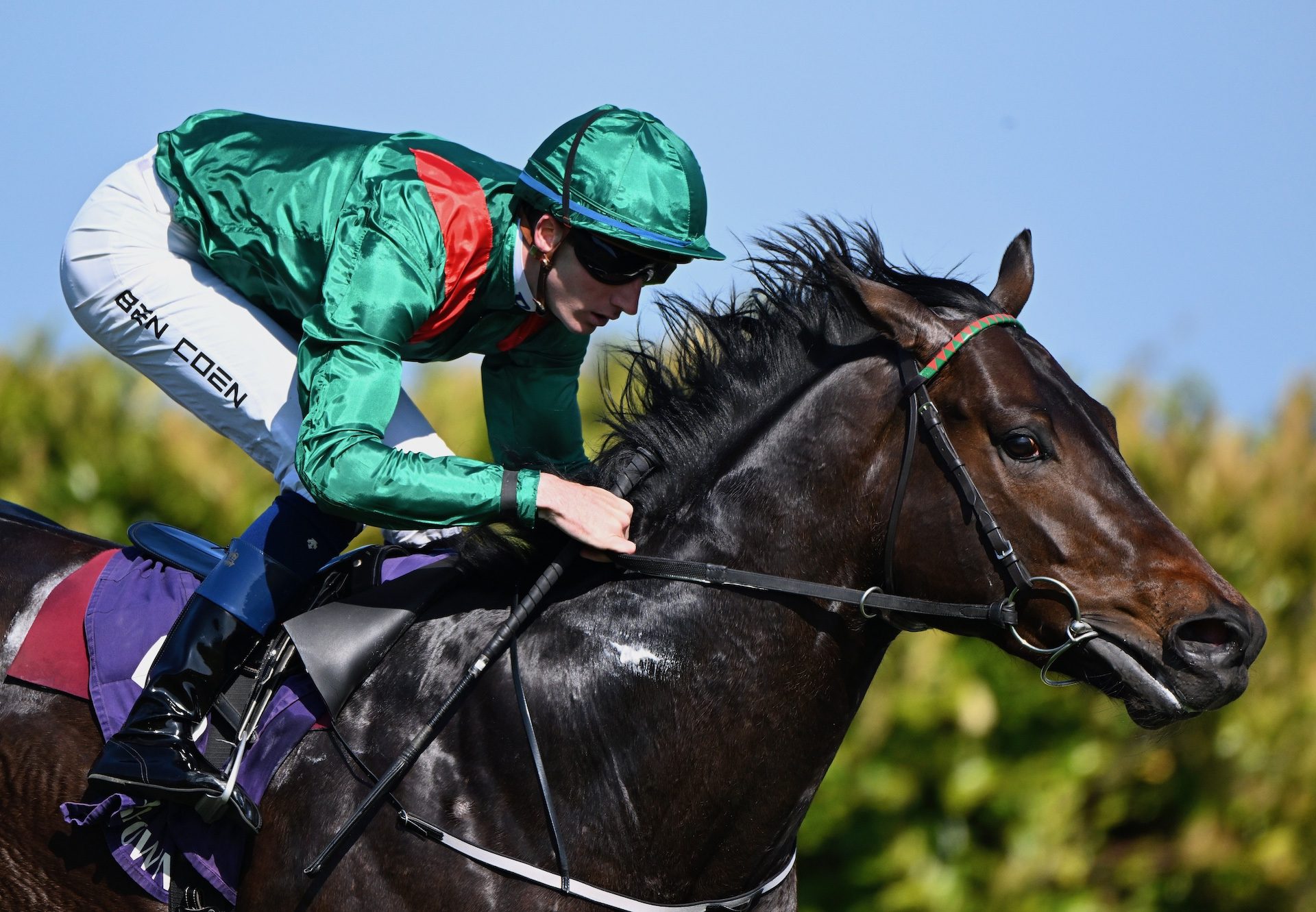 Alakazi (Footstepsinthesand) Impresses At Leopardstown