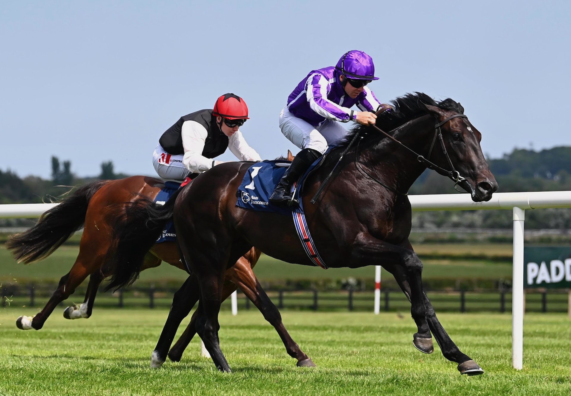 Albert Einstein (Wootton Bassett) Wins On Debut At Naas