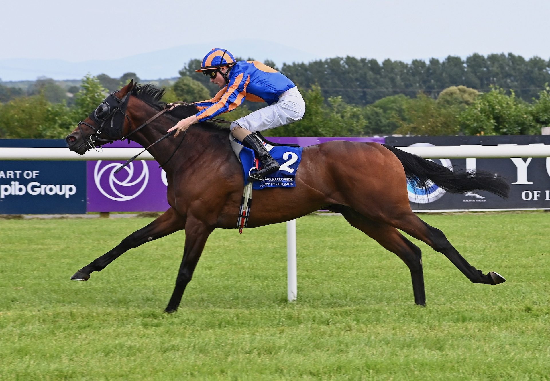 Alfred Tennyson (starspangledbanner) Wins At Limerick