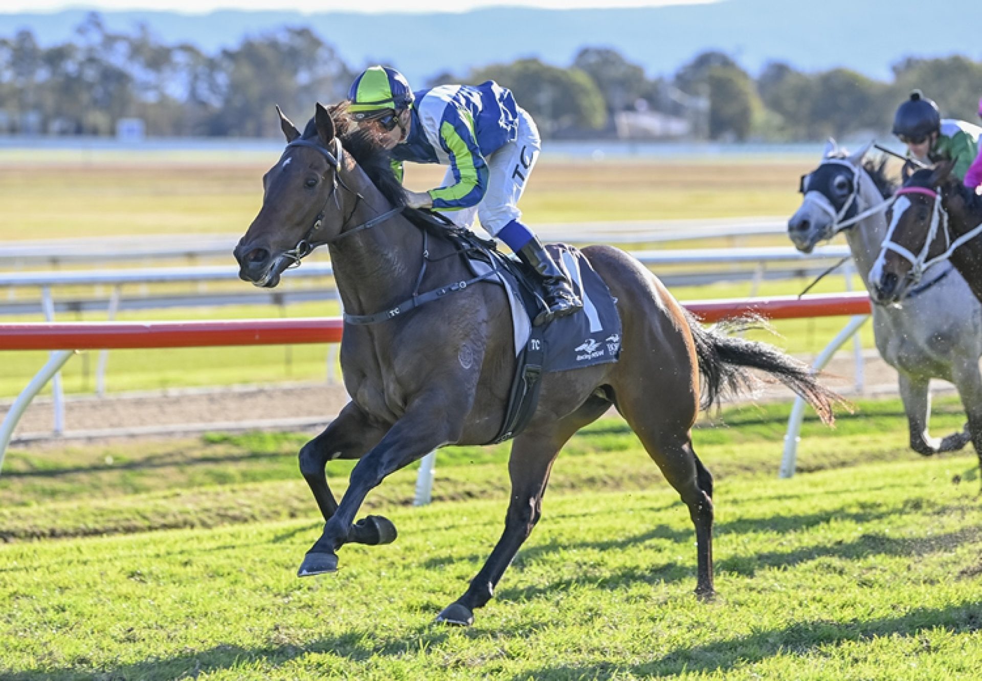 Aloysius (so you think) Hawkesbury 750