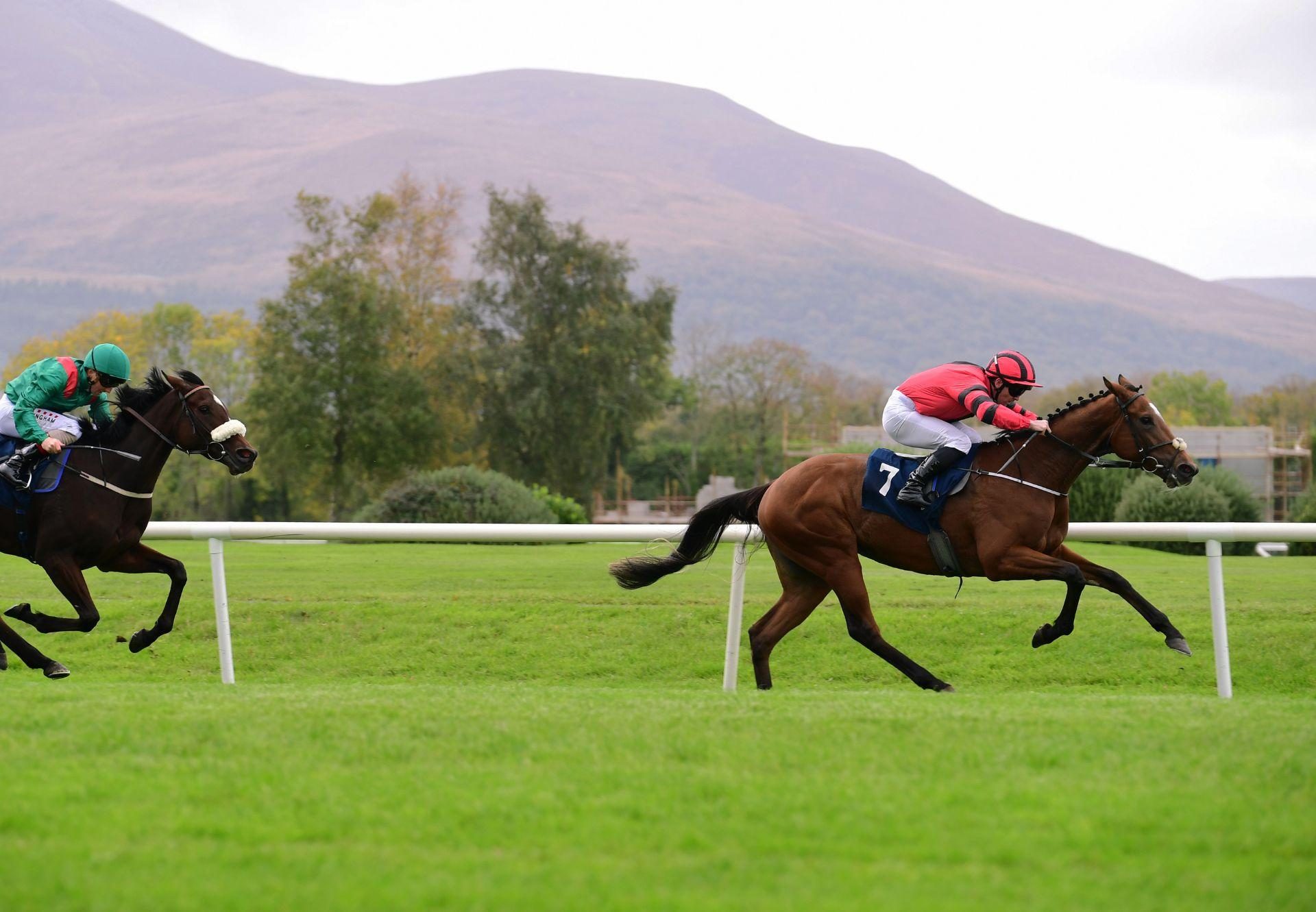 Alphecca Sioux Nation Killarney