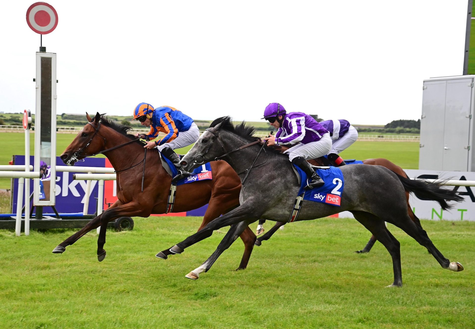 Amadeus Mozart (wootton bassett) Wins On Debut At The Curragh