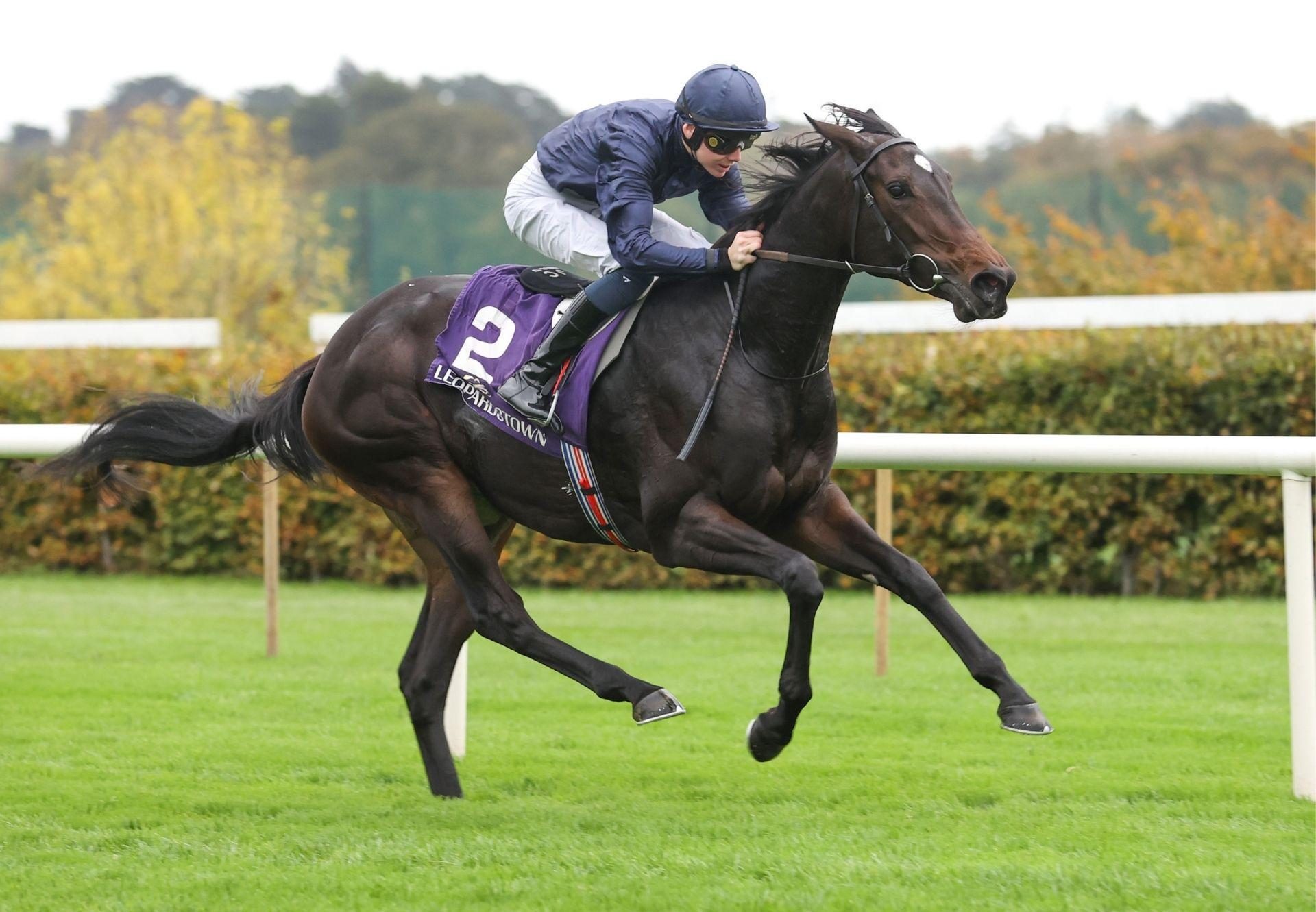 Amelia Earhart Camelot Leopardstown