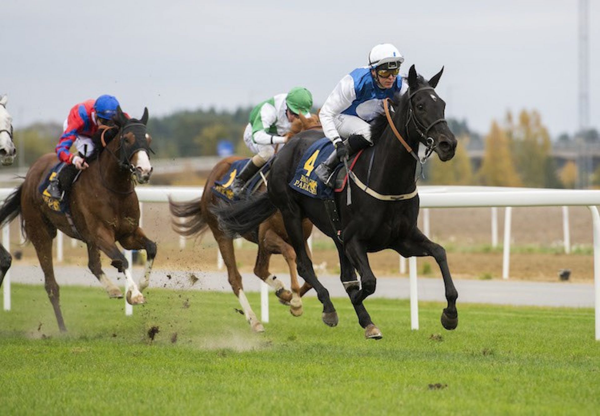 Amie Noire (Soldier Of Fortune)