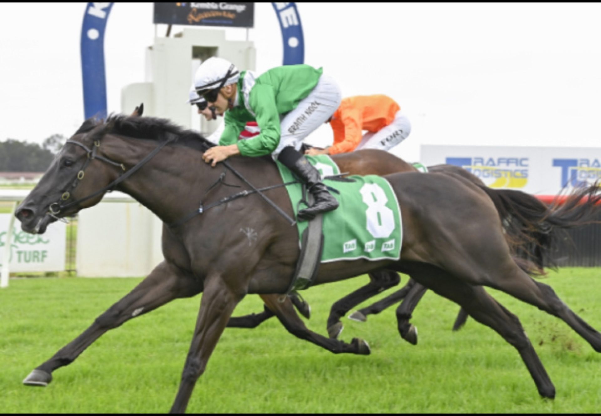 Amreekiyah (Justify) Kembla 750