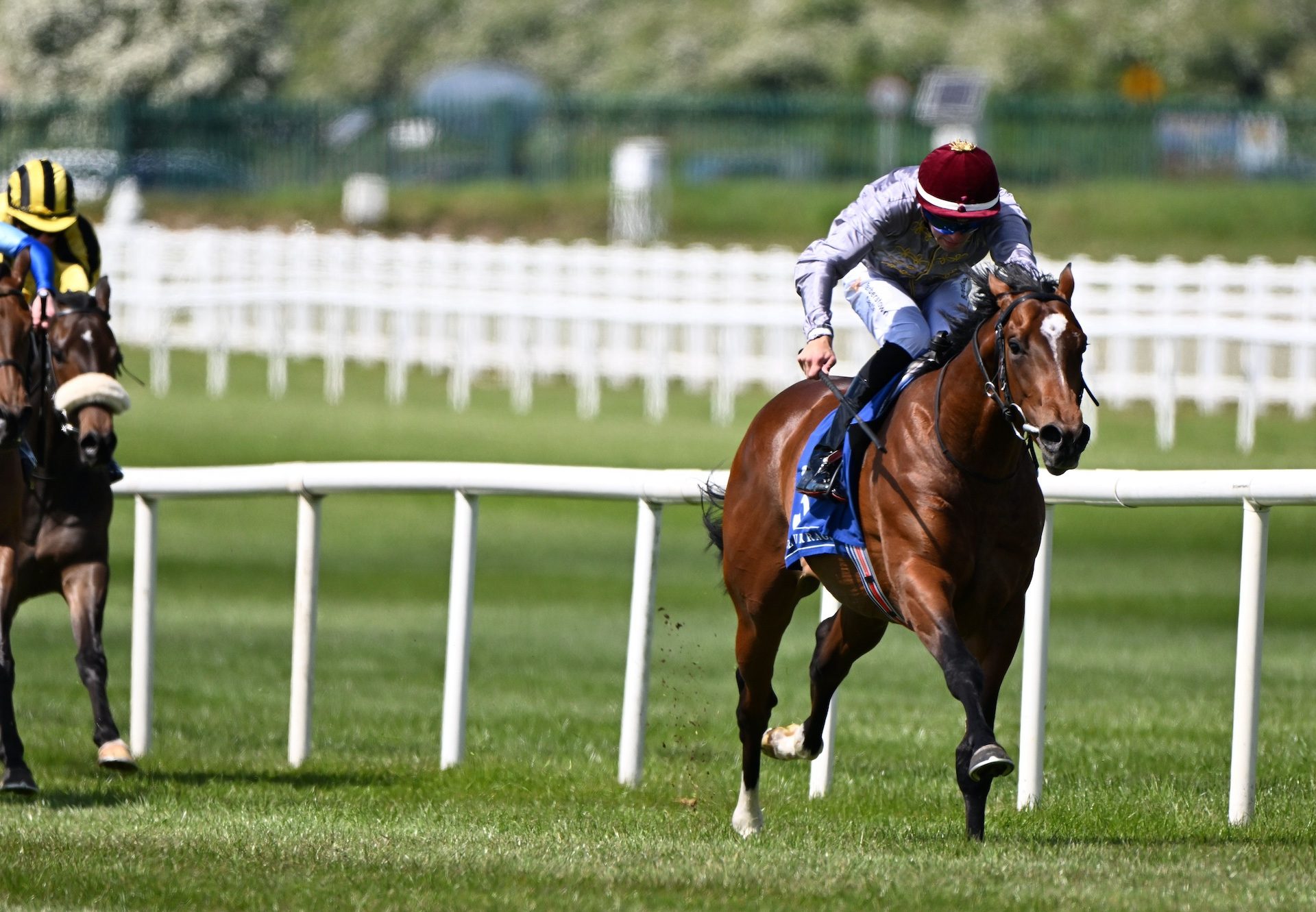 Andab (Saxon Warrior) Impresses On Debut At The Curragh