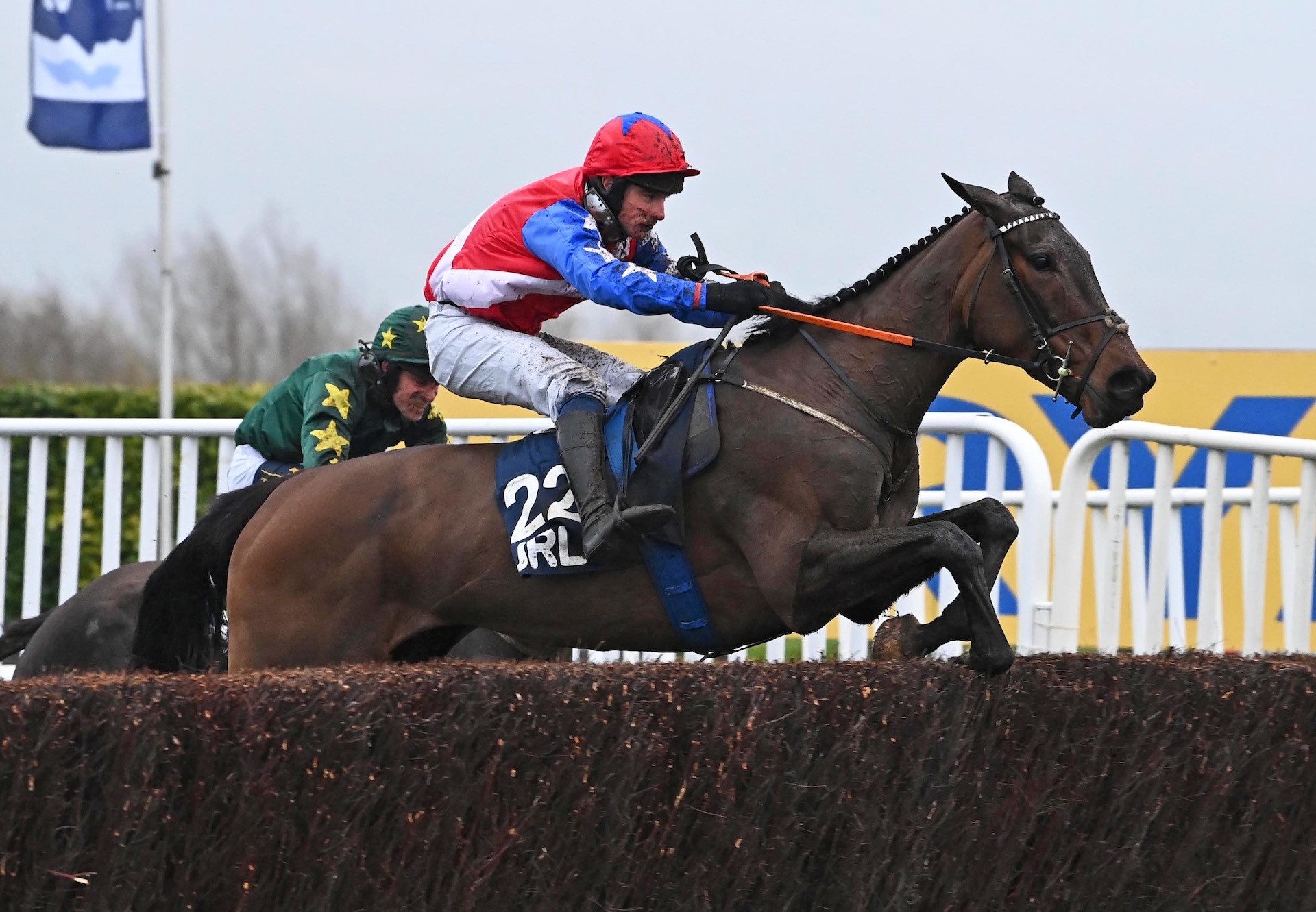 Angels Dawn (Yeats) Wins The Kim Muir Cup At Cheltenham