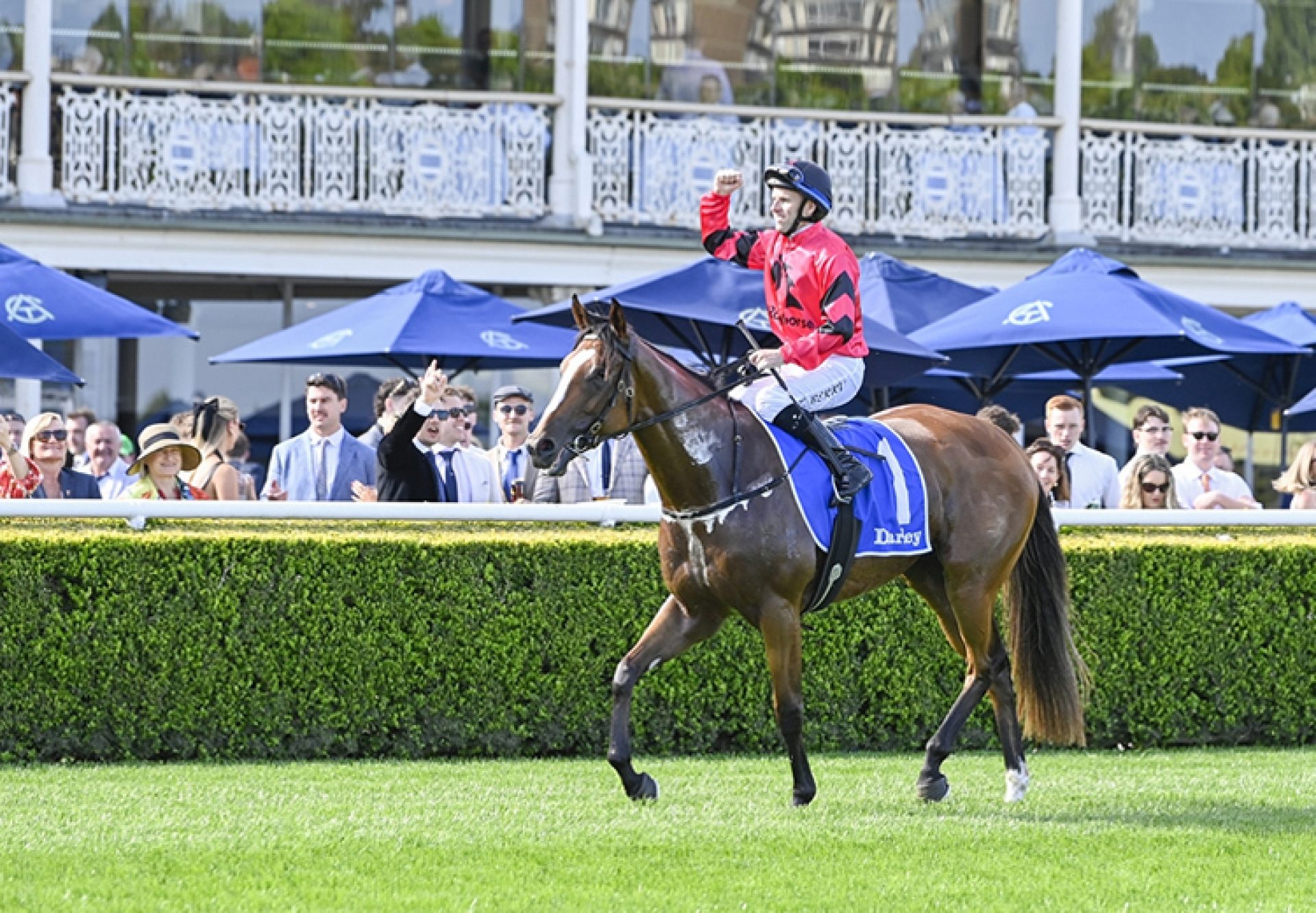 Apocalyptic Flight Berry 750