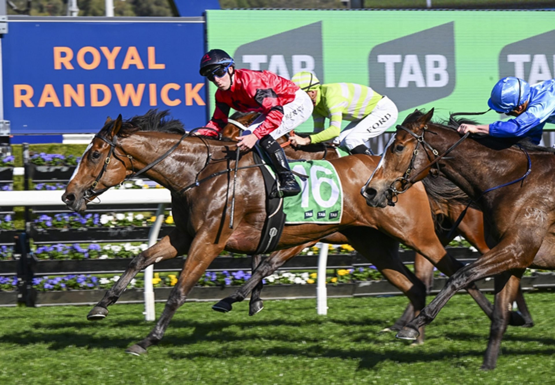 Apocalyptic Furious Raised and Grazed750