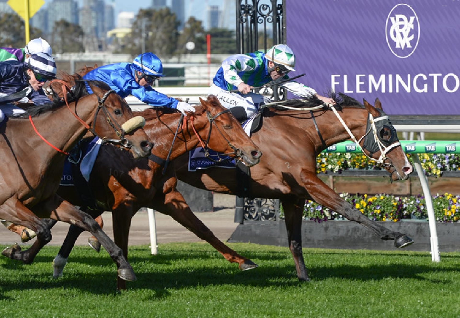 Arcora (Justify) Flemington 750