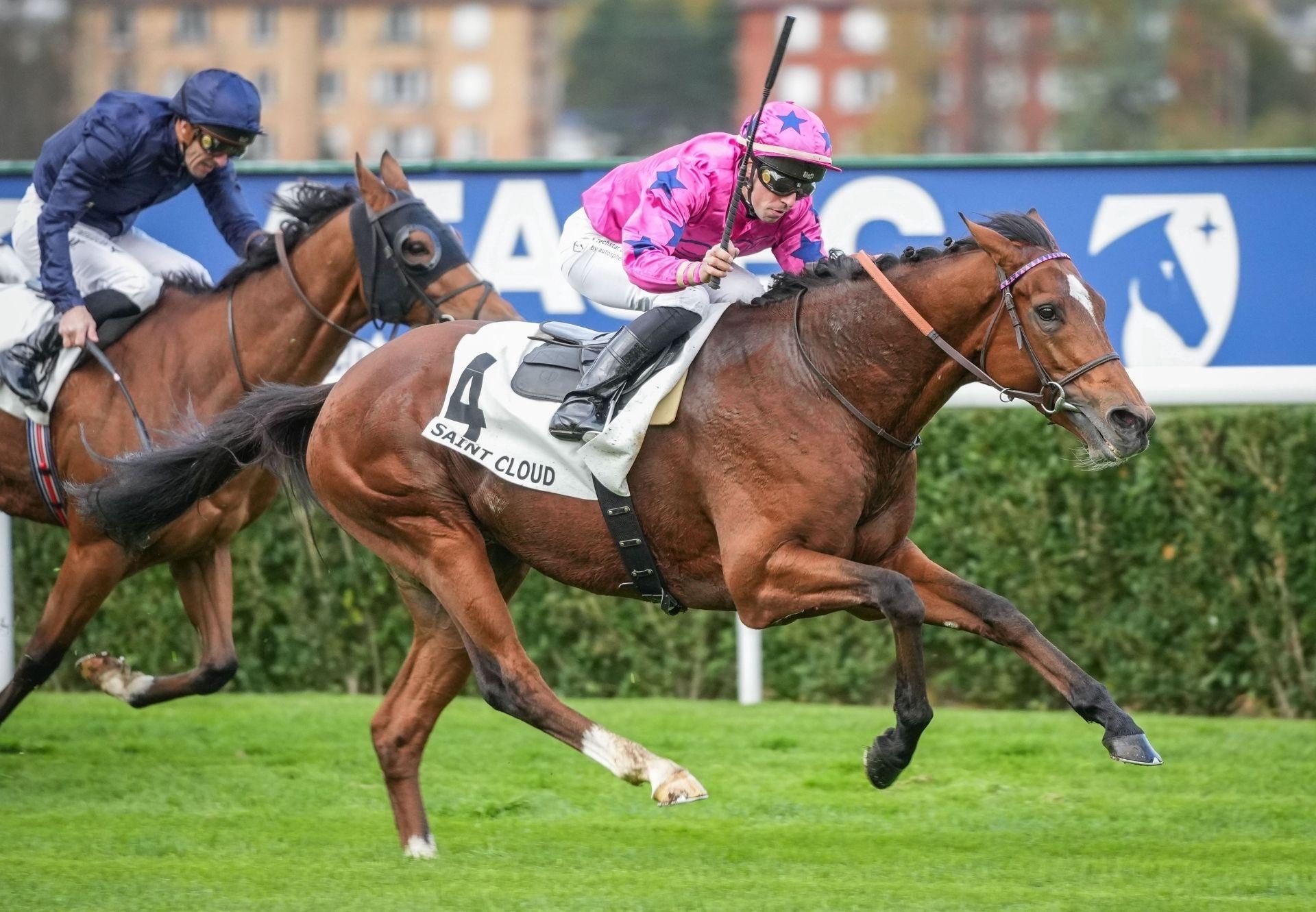 Arrow Eagle Gleneagles Saint Cloud